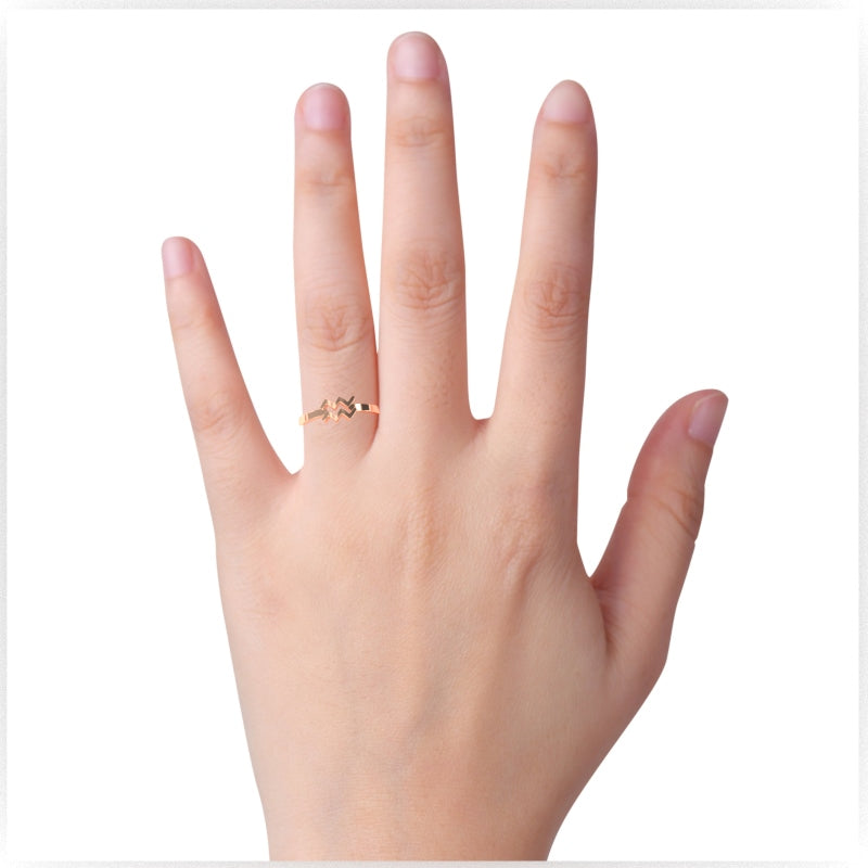 Aquarius Zodiac Sign Ring In Solid 14k Rose Gold